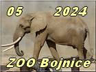 Bojnice